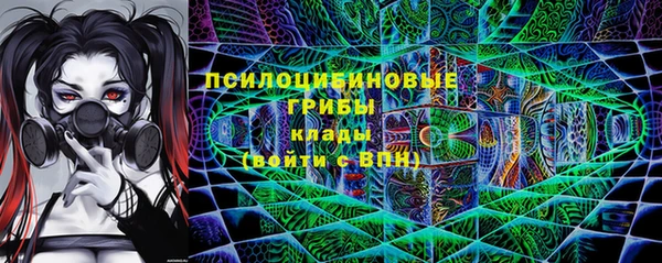 ECSTASY Алзамай
