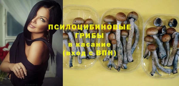 спиды Армянск