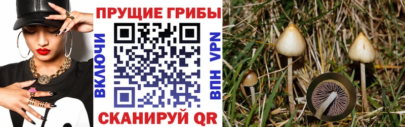 Галлюциногенные грибы GOLDEN TEACHER  дарнет шоп  Дно 